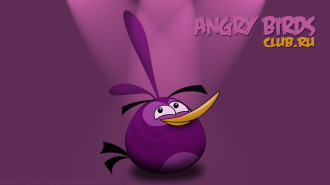 Angry Birds обои 1920x1080 от madfive5 - Новая Птица